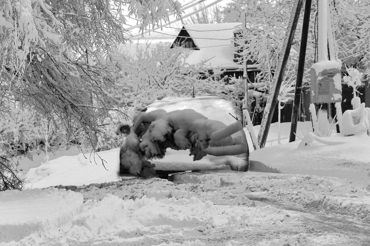 Завалило! - Юрий Гайворонскiий