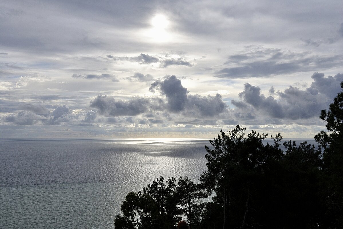 Холодное солнце - Марина Виноградова Холодное солнце - Марина Виноградова