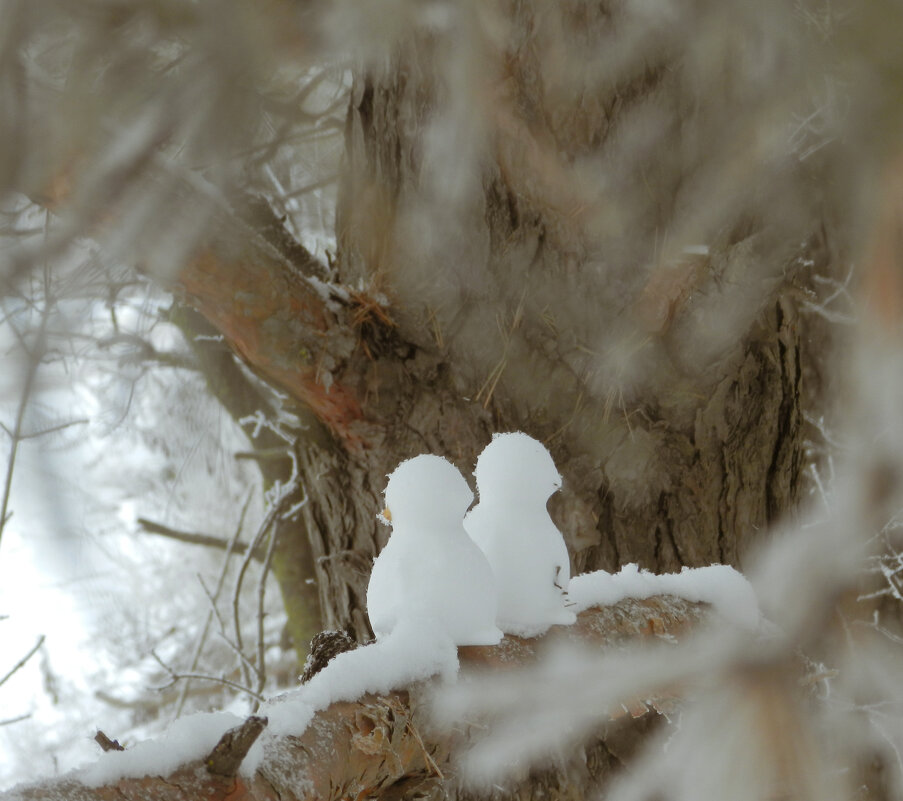 *** - Лера *** - Лера