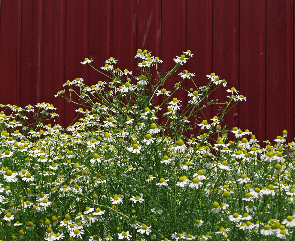. - Александр Хоменко
