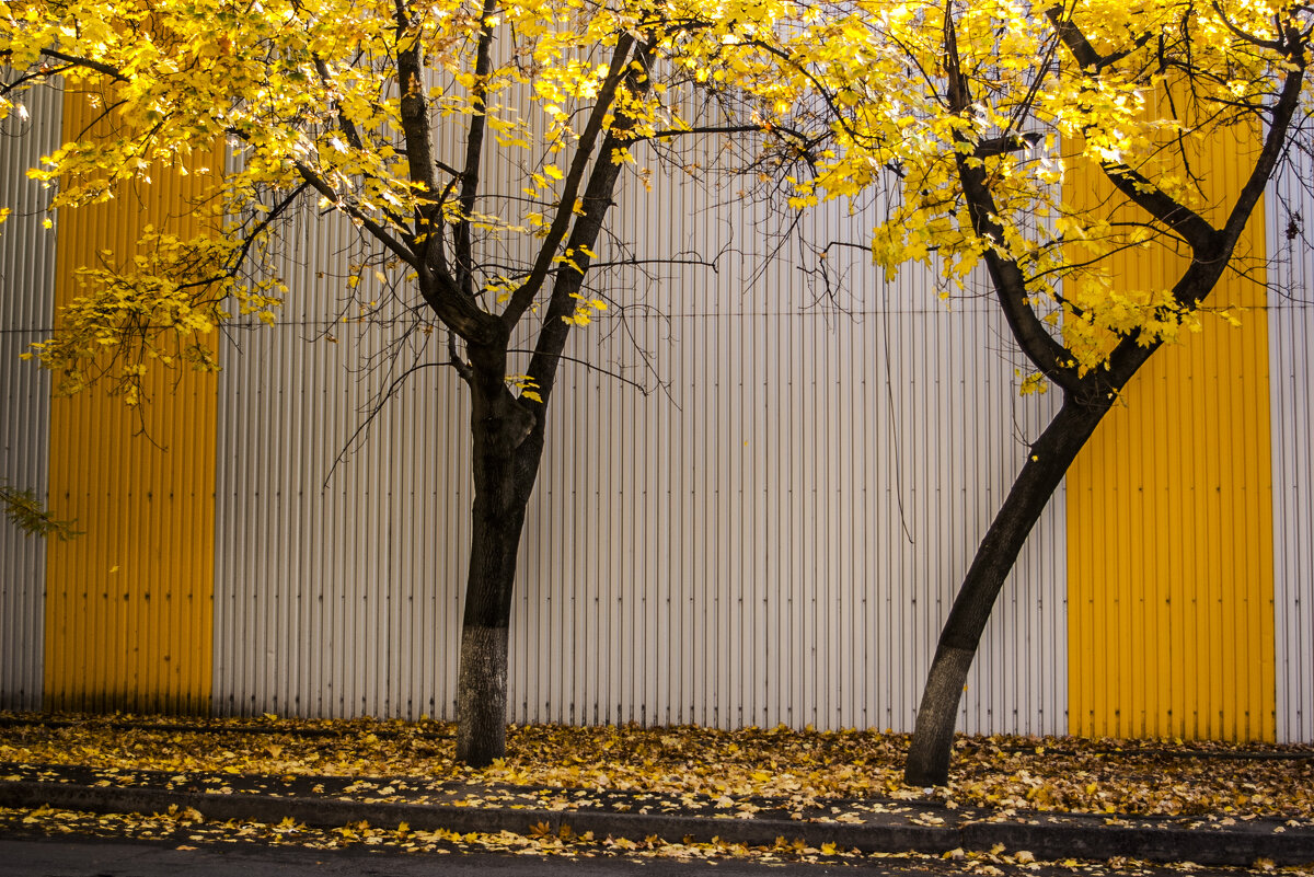 Rhythm & Blues - Коля Лукашов Rhythm & Blues - Коля Лукашов
