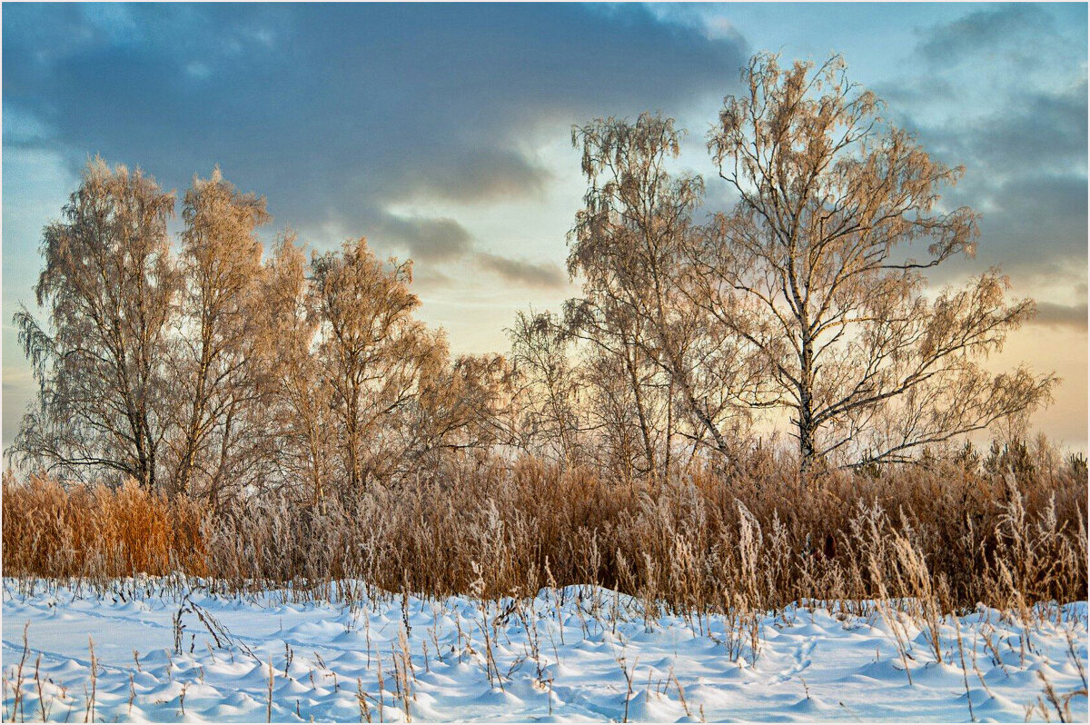 *** - Алексей Мезенцев
