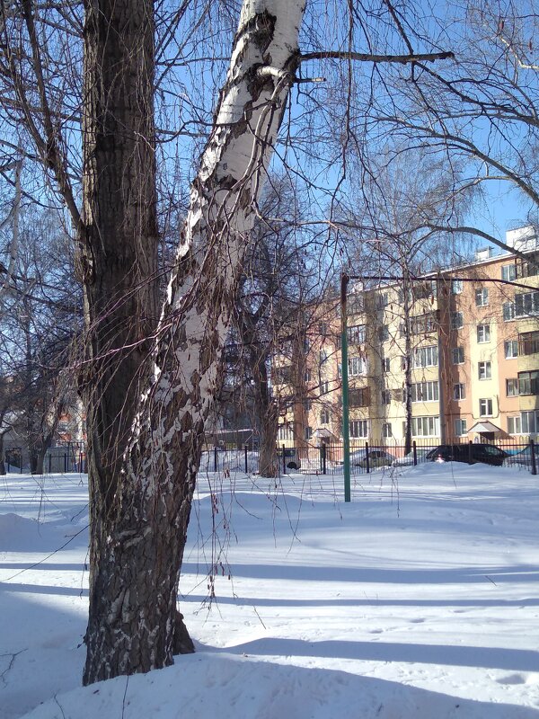 Мой город. - Венера Чуйкова Мой город. - Венера Чуйкова