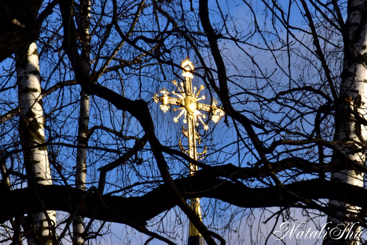 Луч солнца золотого. - Наталья Вязигина