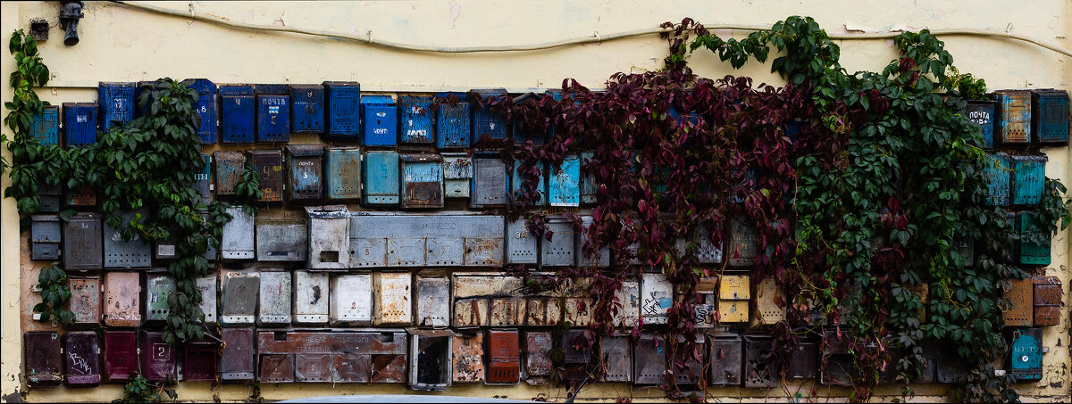 Почта - Александр Тарноградский