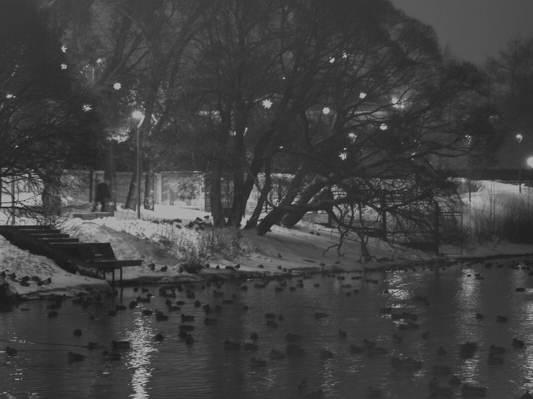 Ночью в парке. - Сергей Сергеев