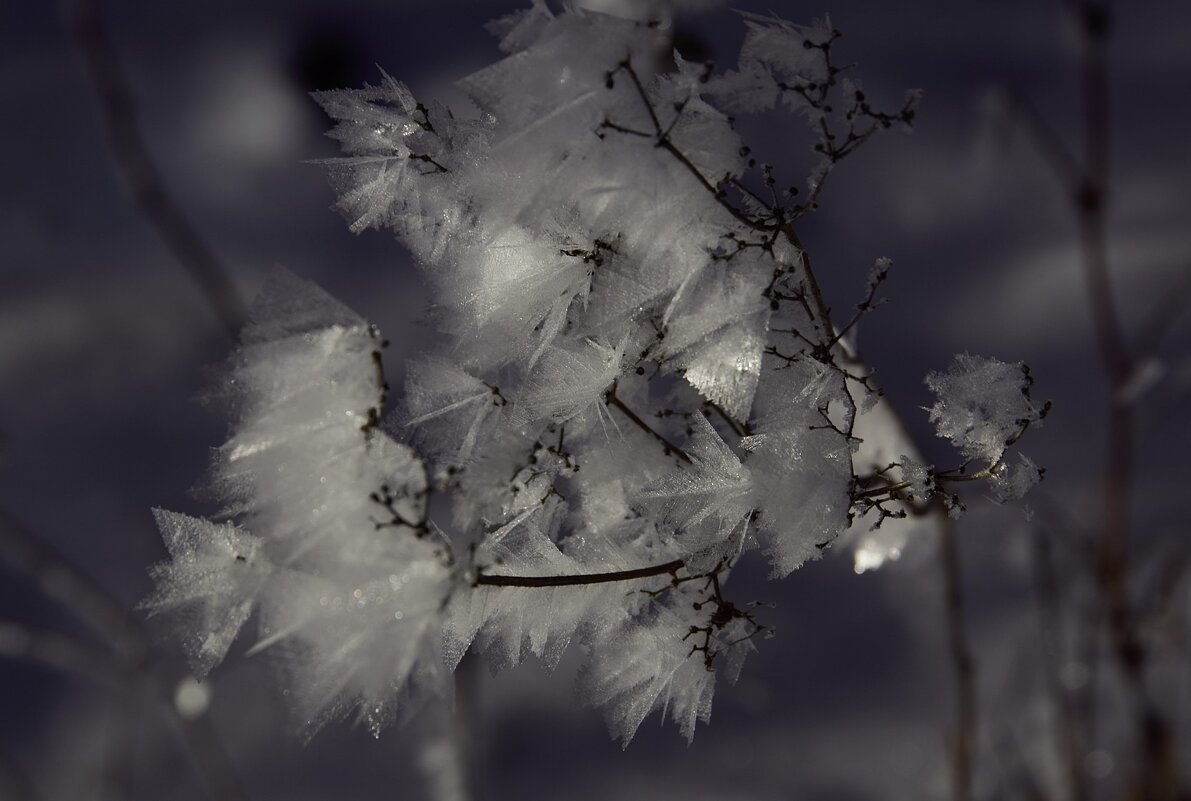 Из утренней сказки Вэллена - liudmila drake