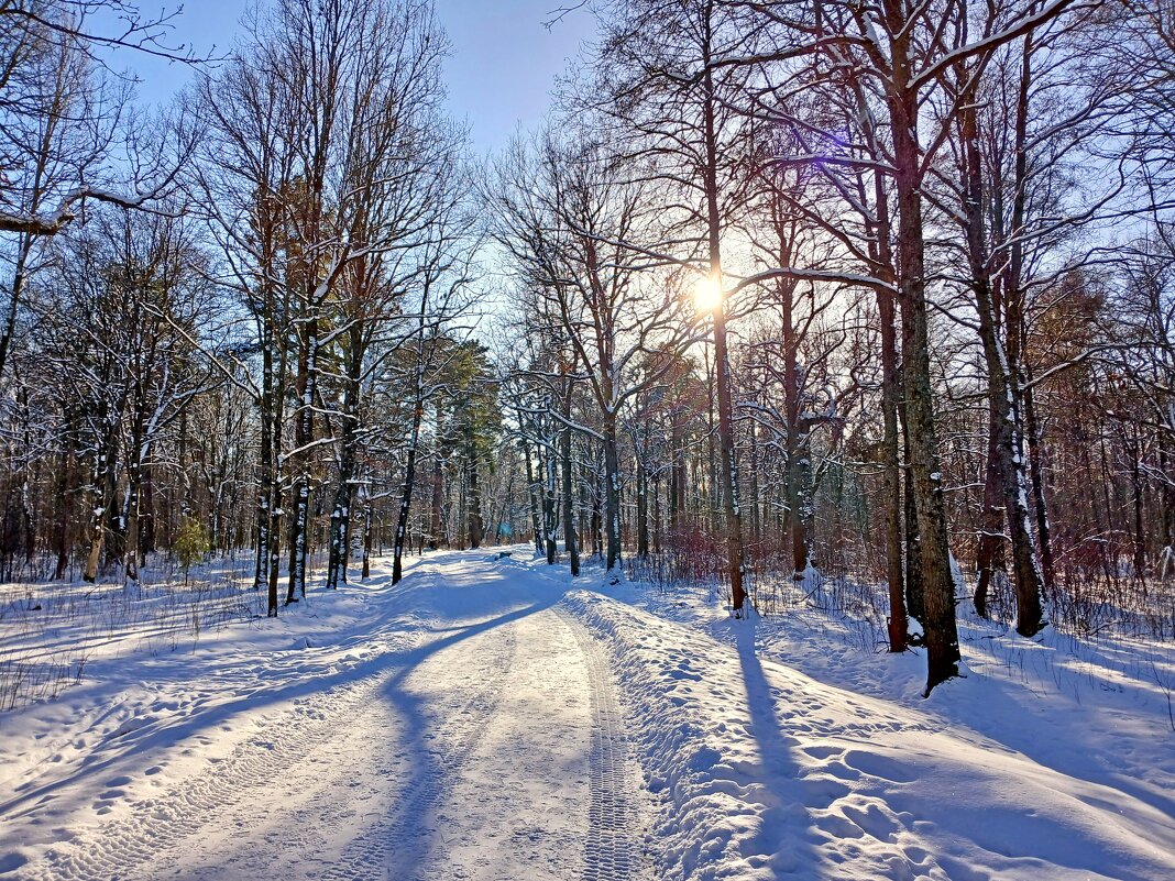 Февральский день. - Лия ☼