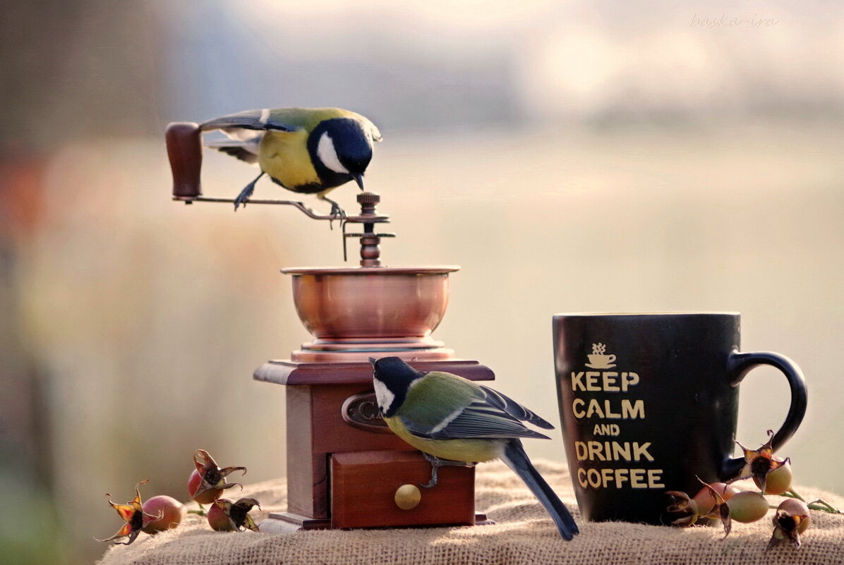 Что-то пошло не так... - Ирина Баскакова