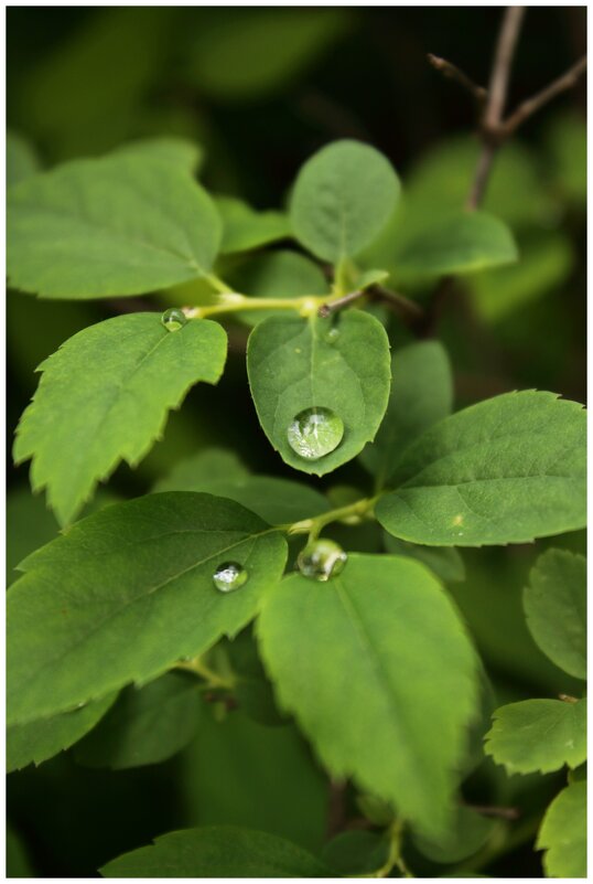 ... - Александр Кольцов