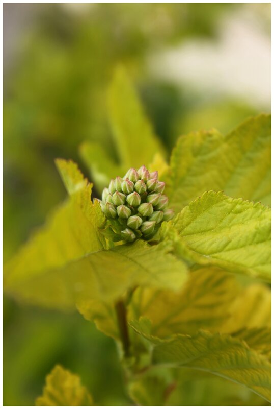 ... - Александр Кольцов