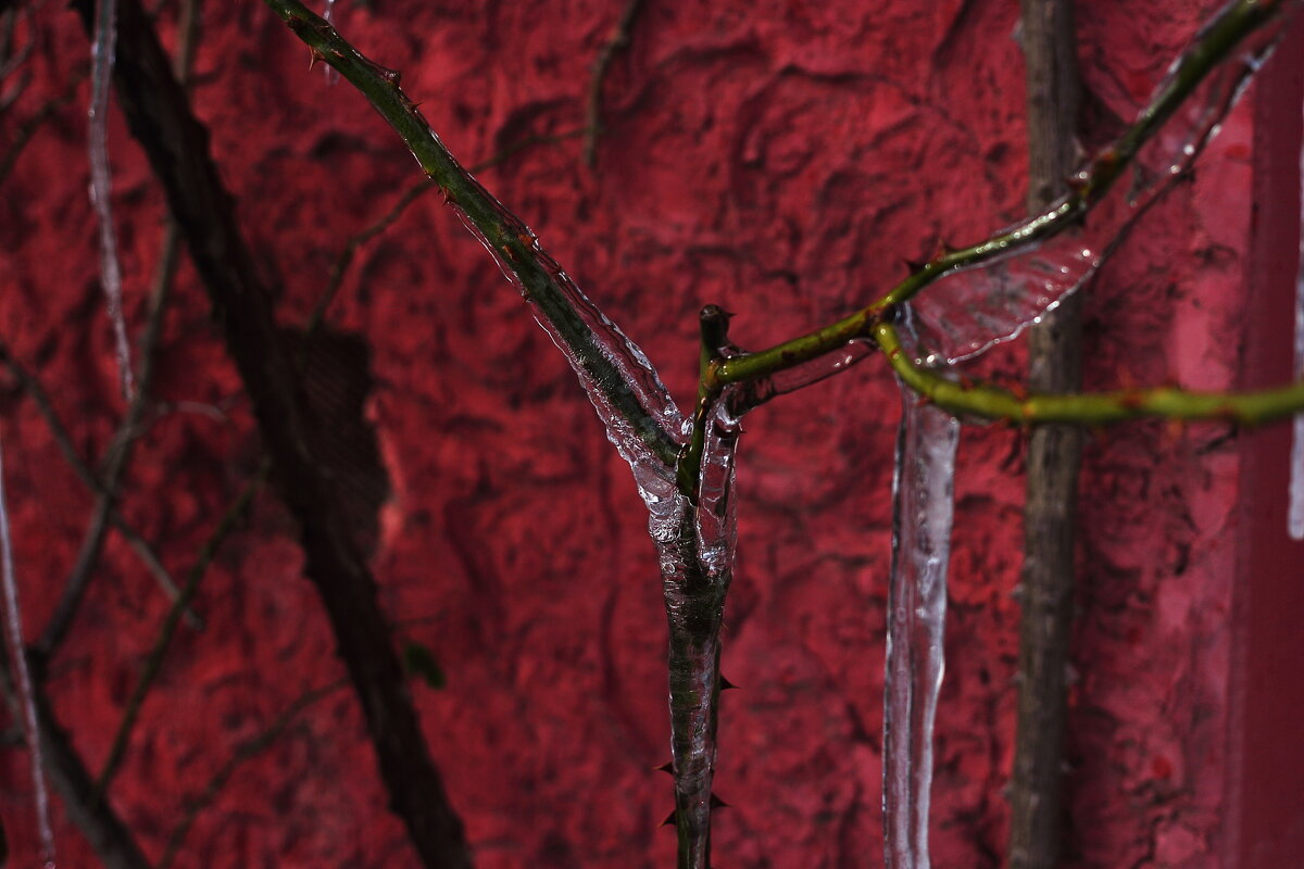 Сосульки - Юрий Гайворонскiий