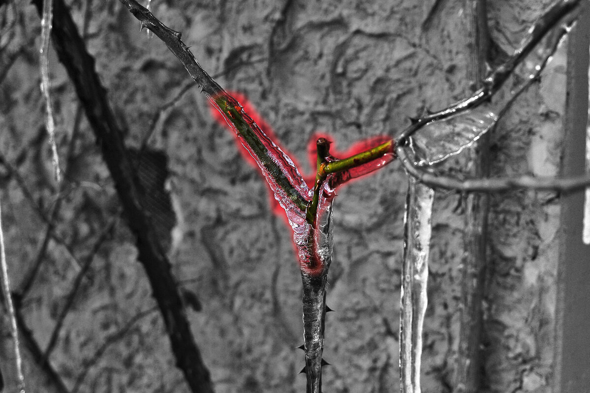 Сосулька - Юрий Гайворонскiий Сосулька - Юрий Гайворонскiий