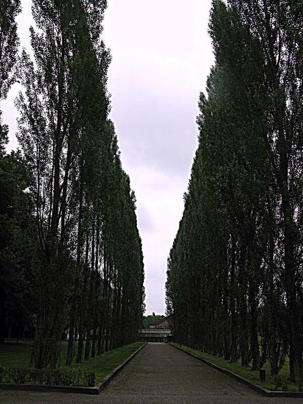 Германия. - Владимир Драгунский