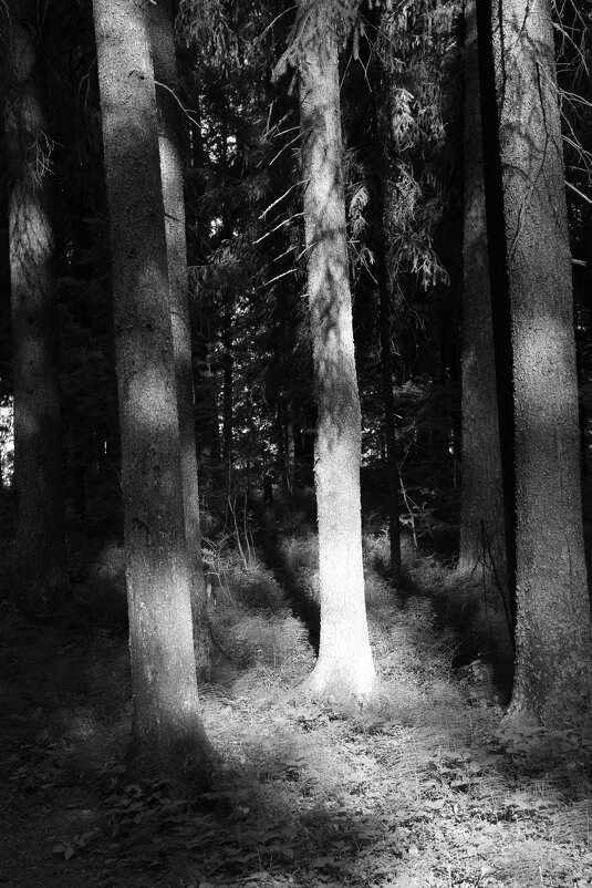 Название отсутствует - Денис Безногов Название отсутствует - Денис Безногов