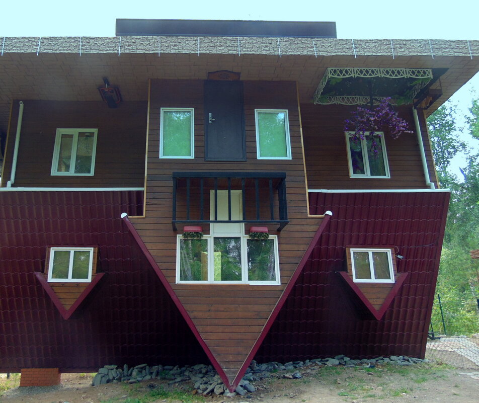 Дов вверх дном. - nadyasilyuk Вознюк