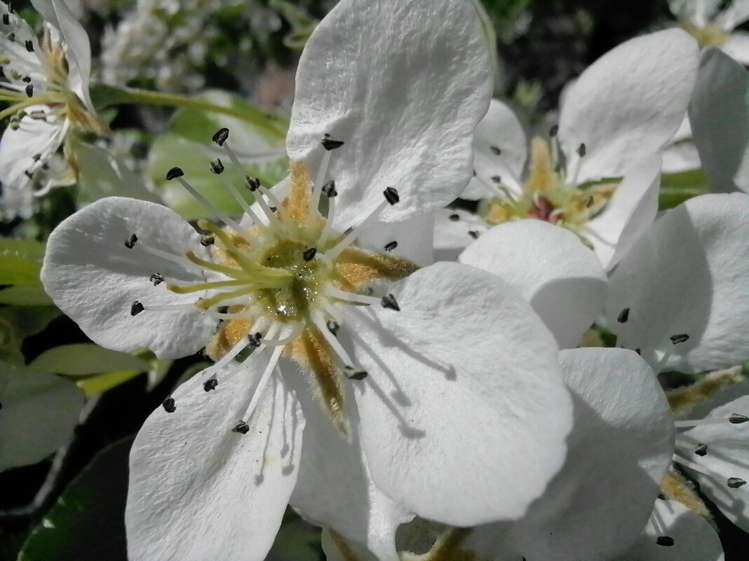 ,,, - Сергей Тимоновский ,,, - Сергей Тимоновский