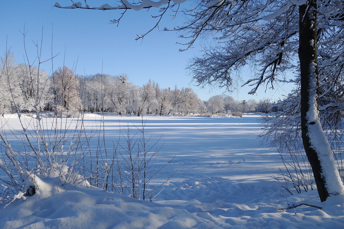 Снежный февраль - Рита Симонова Снежный февраль - Рита Симонова