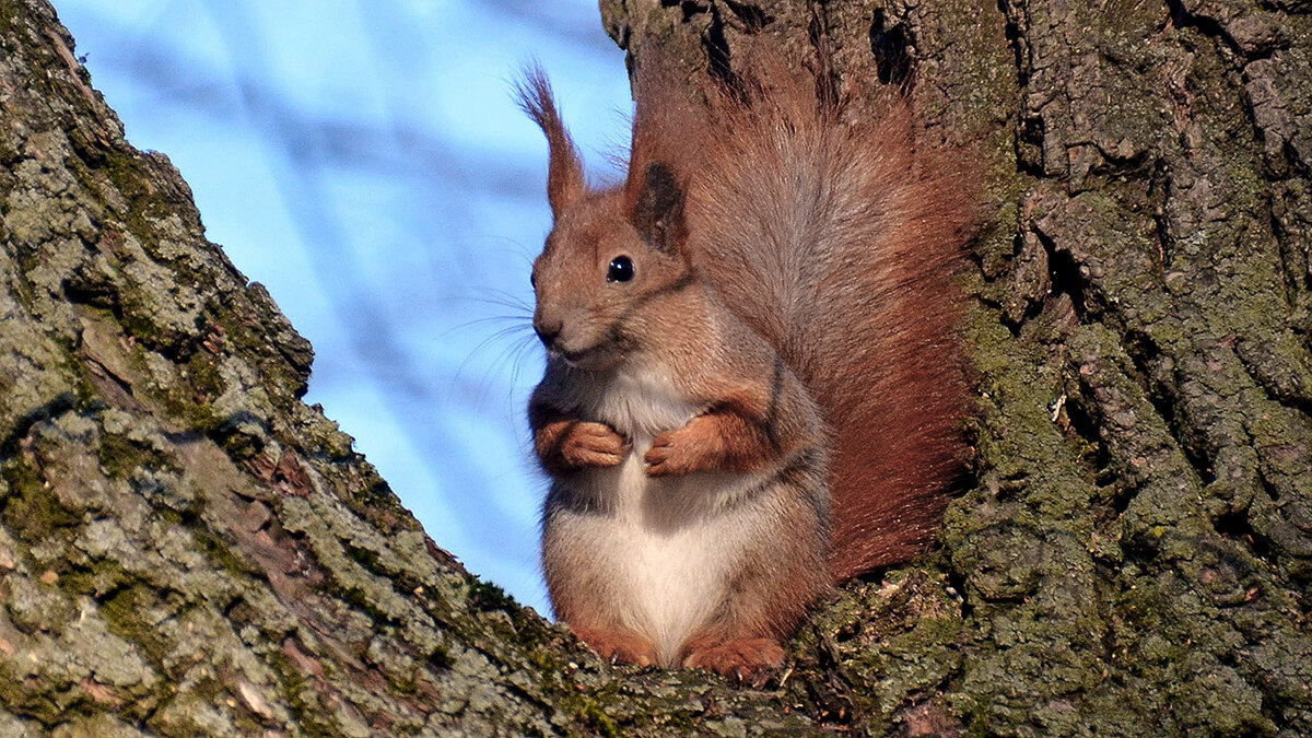 Модель! - Alexandеr P