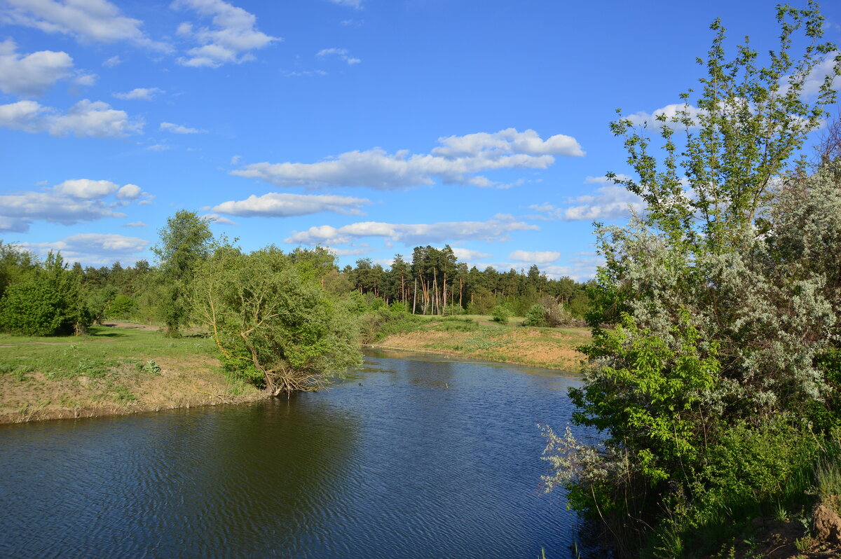 Местная река. - Виктор Местная река. - Виктор