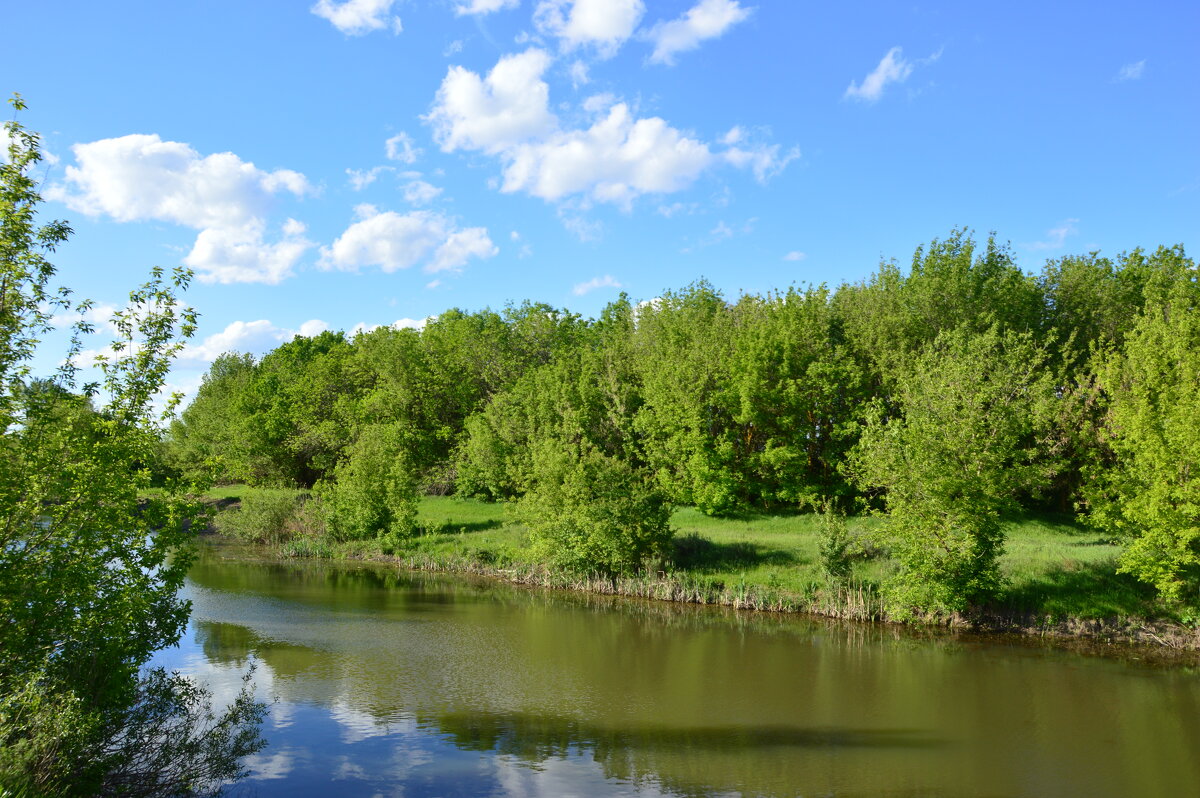 Весна. - Виктор 