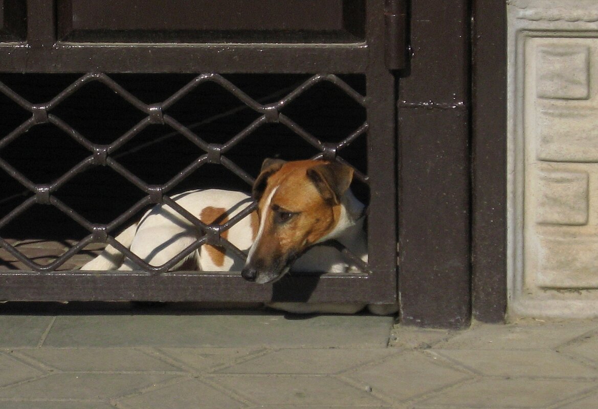 . - Александр Хоменко