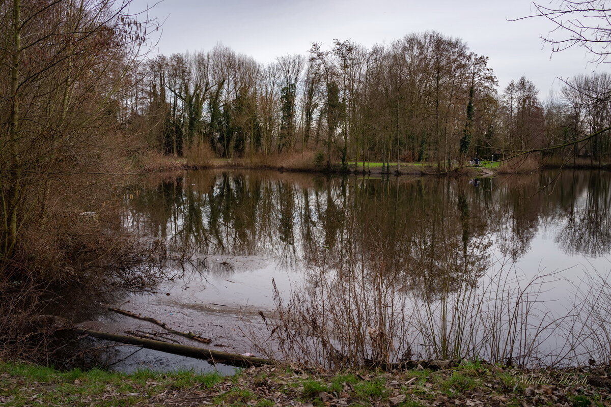 В феврале... - Николай Гирш В феврале... - Николай Гирш