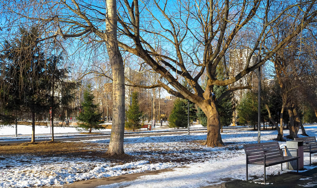 ***** - юрий поляков