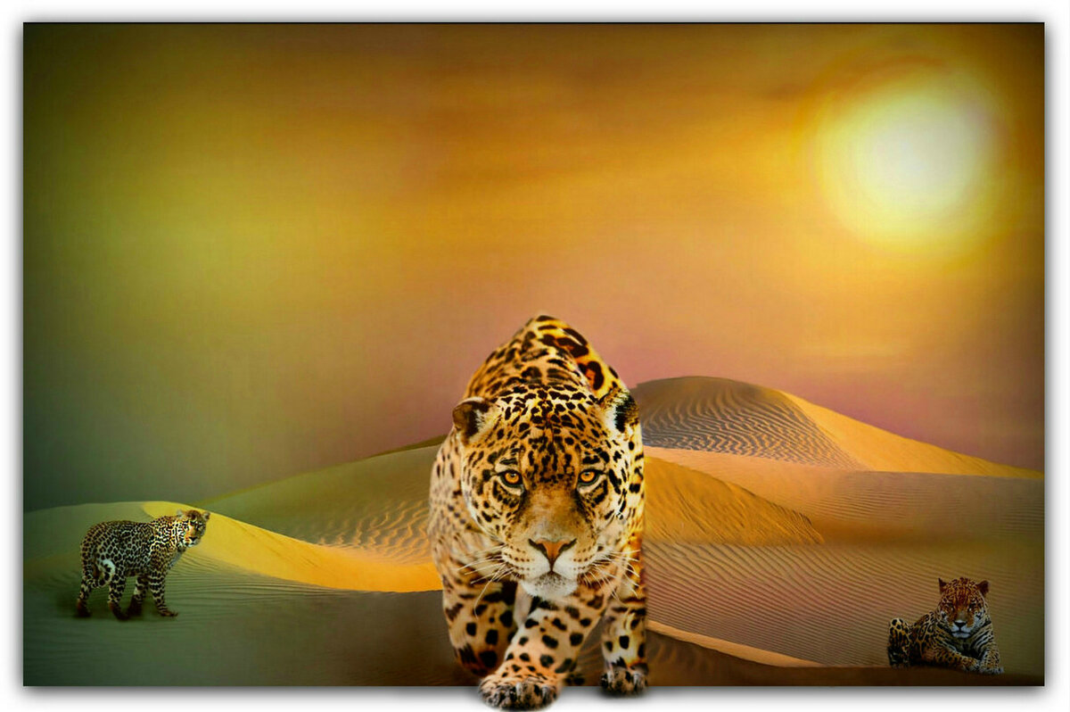 Привет! - Е.М. ***