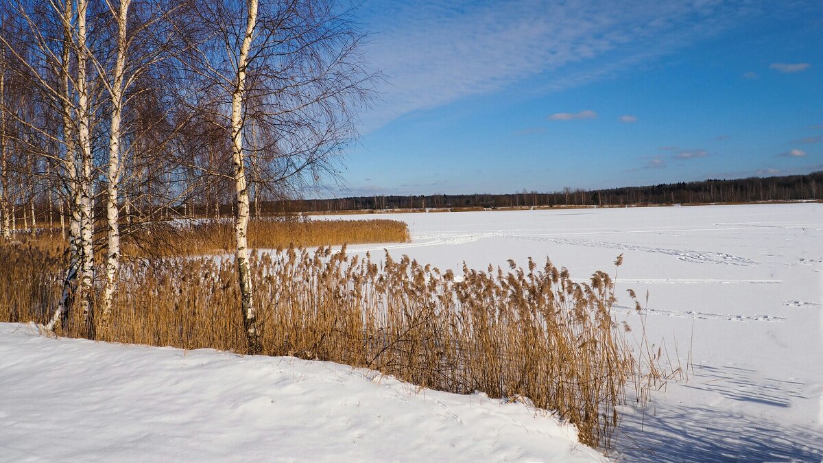Зимний пейзаж - Милешкин Владимир Алексеевич 