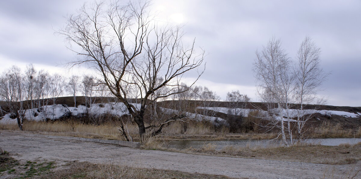 Весенний пейзаж. - сергей ермошкин Весенний пейзаж. - сергей ермошкин