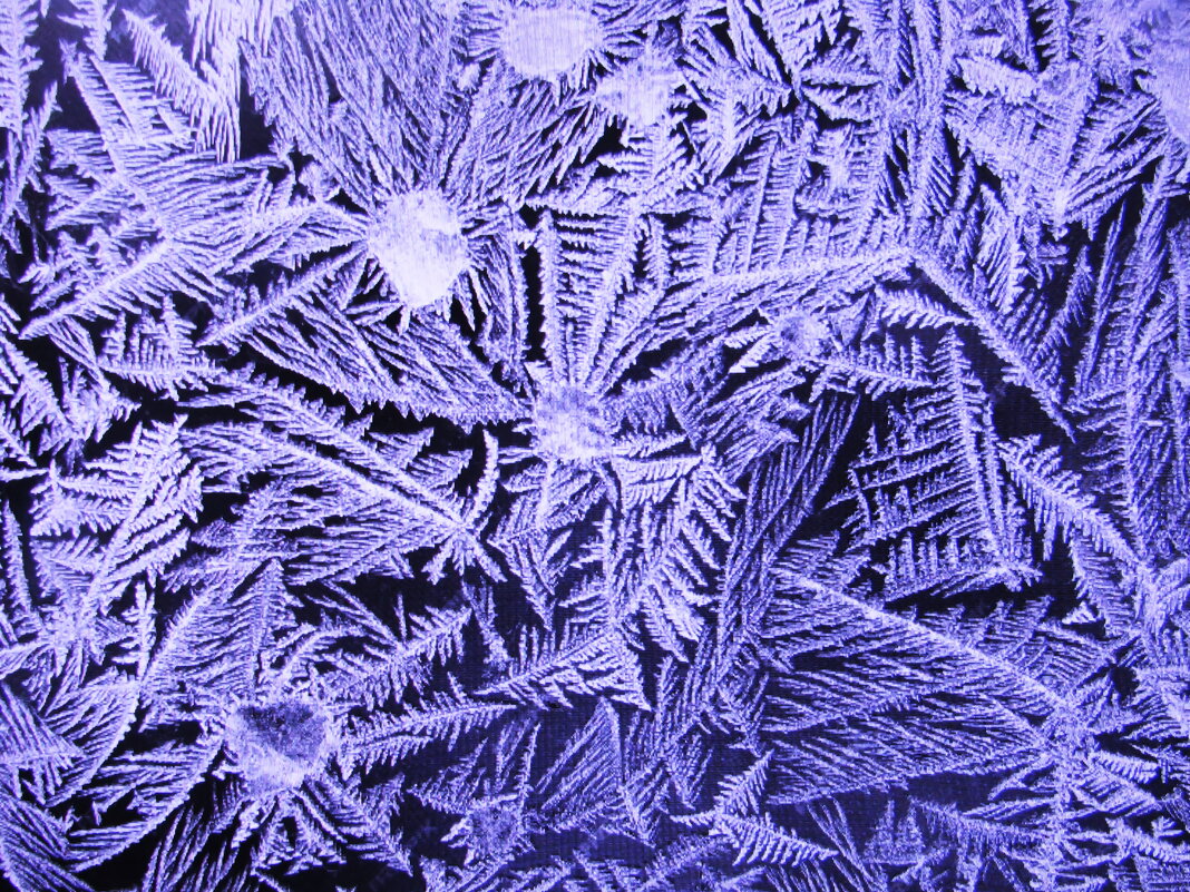 Красота на окошке - Людмила Смородинская Красота на окошке - Людмила Смородинская