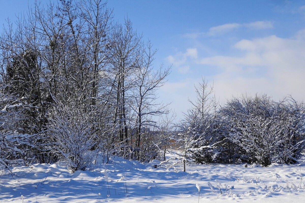 Побережье Калининградского залива - Рита Симонова Побережье Калининградского залива - Рита Симонова