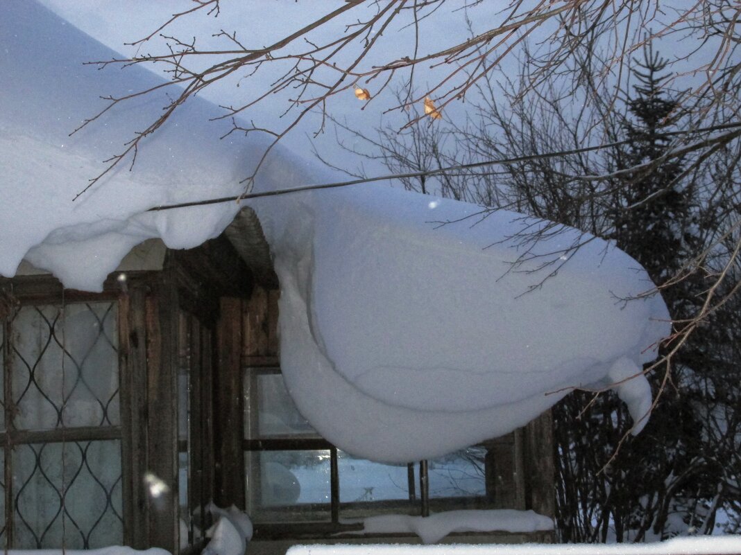 Снежная птица - Galaelina ***