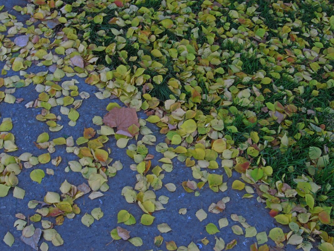 . - Александр Хоменко