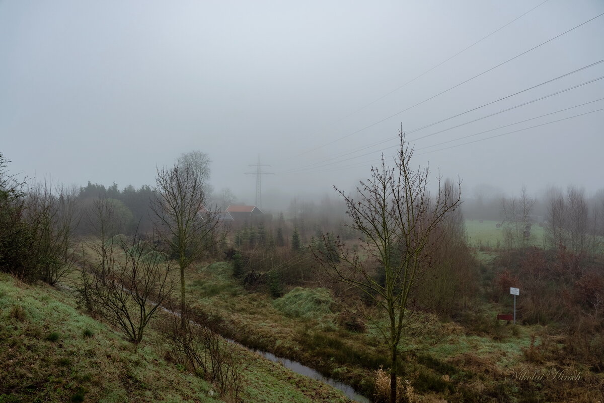 В туманный день... - Николай Гирш В туманный день... - Николай Гирш