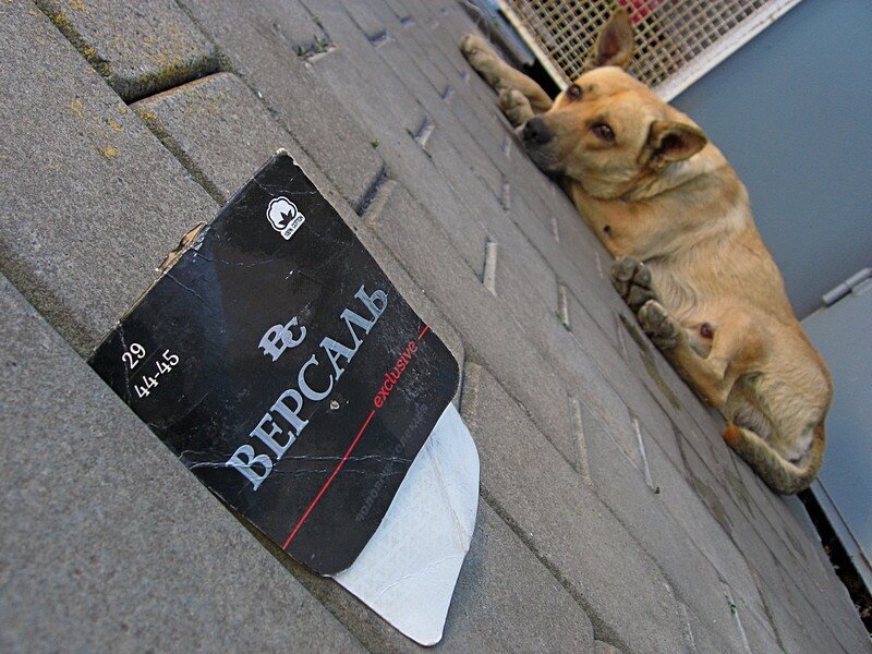 . - Александр Хоменко