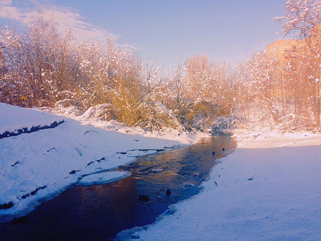 Вязицкий ручей - Сергей Кочнев