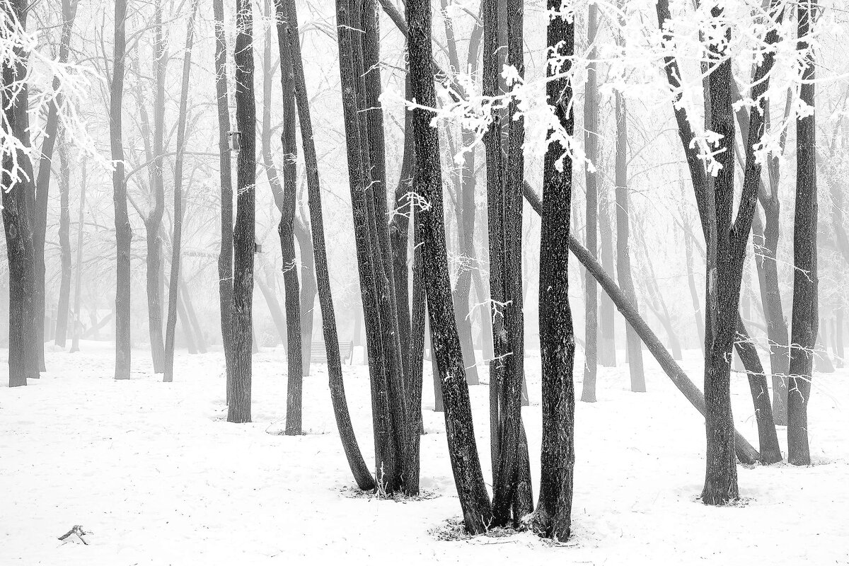 В парке... - Влад Никишин