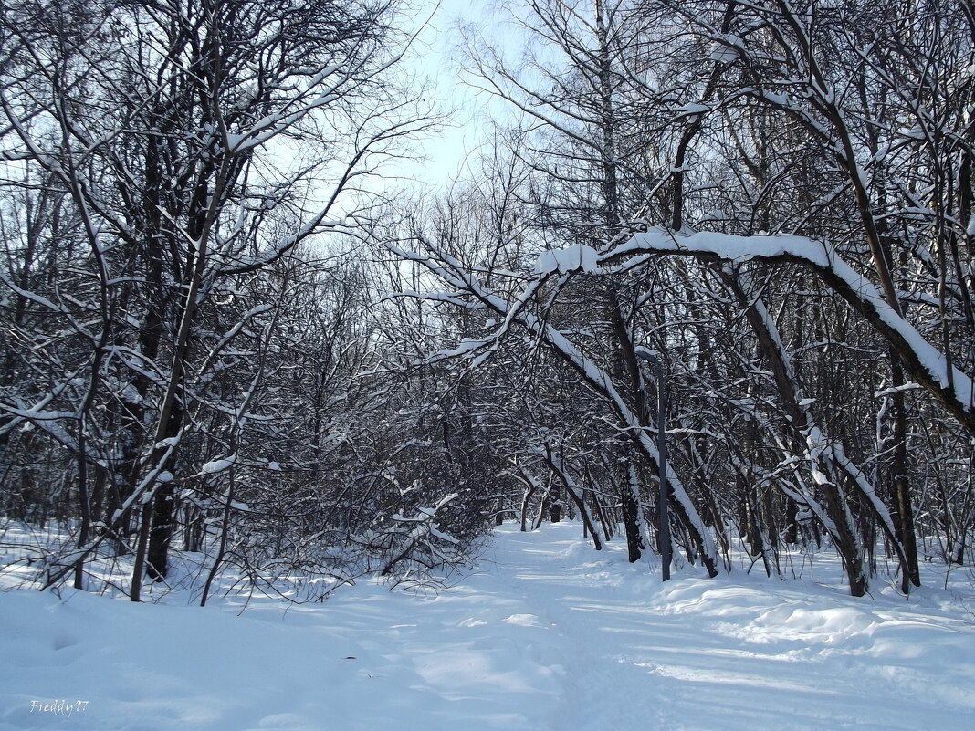 В парке - Freddy 97