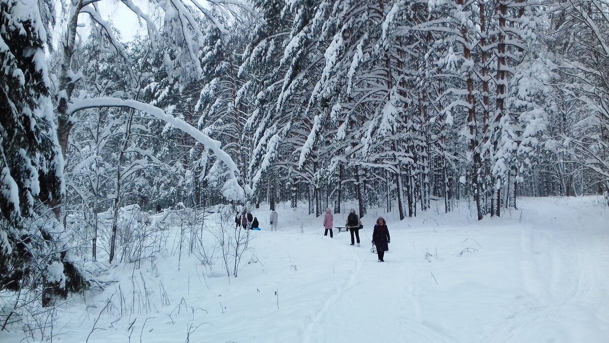 в парке - Владимир 