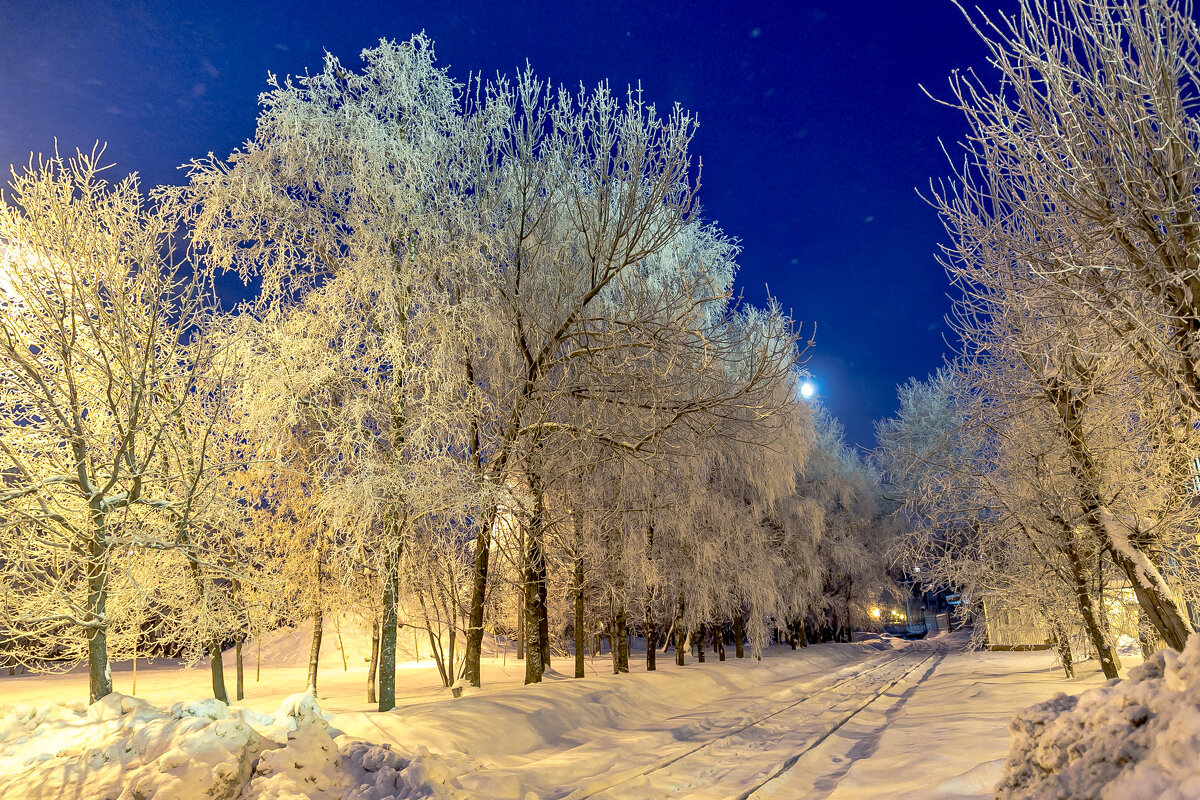 Иней - Александр Силинский Иней - Александр Силинский