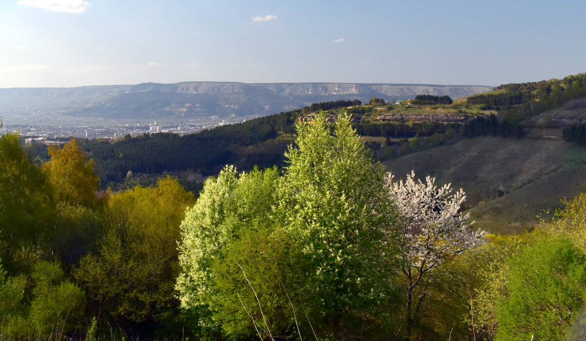 Кисловодск. Весеннее. - tatiana 