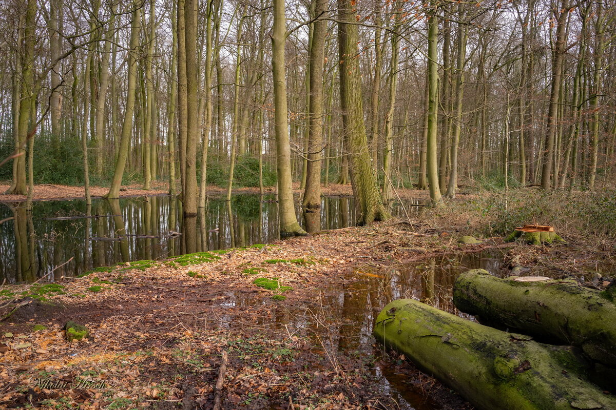 На окраине... - Николай Гирш На окраине... - Николай Гирш