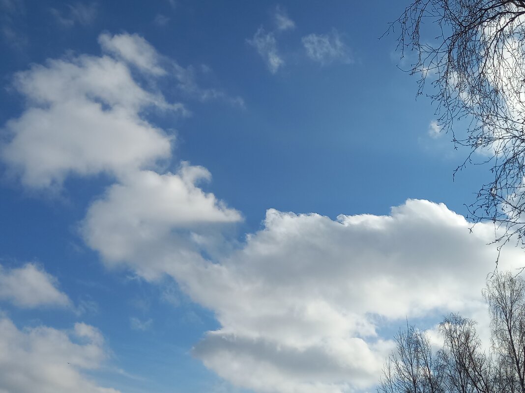 Небеса - BoxerMak Mak