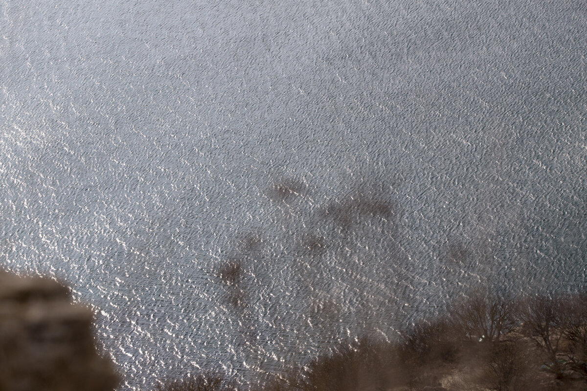 Художник ветер - Светлана Тихонина