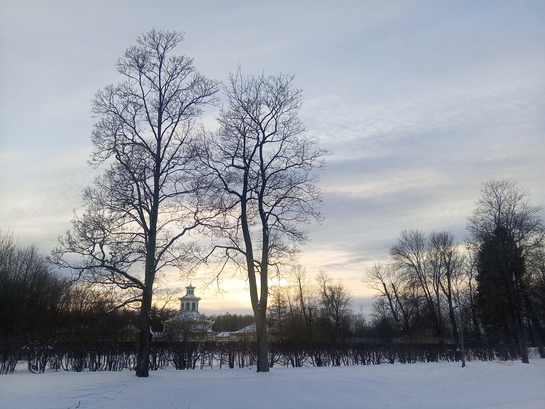 Зима - Сапсан 