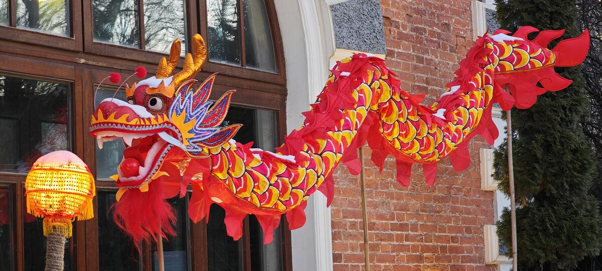 Дракон - Китайский Новый год в Аптекарском огороде - <<< Наташа >>> Дракон - Китайский Новый год в Аптекарском огороде - <<< Наташа >>>