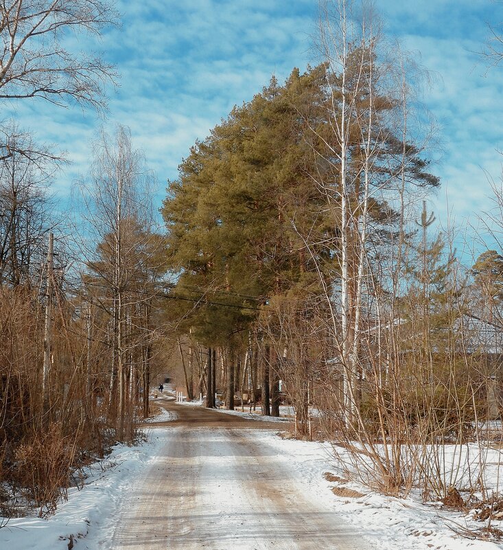 Загорянка. Зима - Леонид leo Загорянка. Зима - Леонид leo