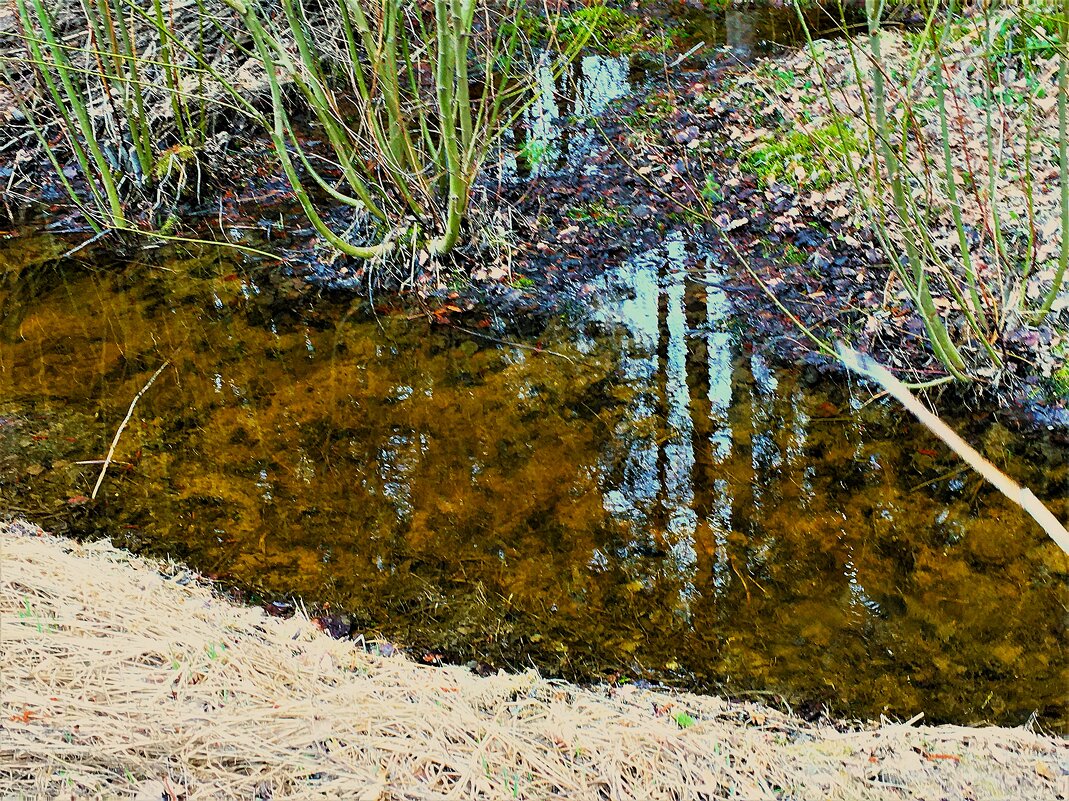 ***к ю в е т*** - Olga Oskolkova